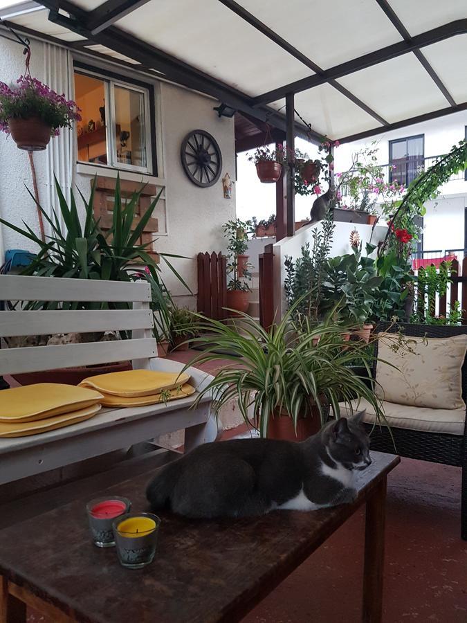Estia Vasilis Manoli Apartment ไอยานาปา ภายนอก รูปภาพ